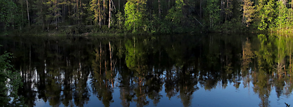 Abendstimmung im Oulanka Nationalpark 