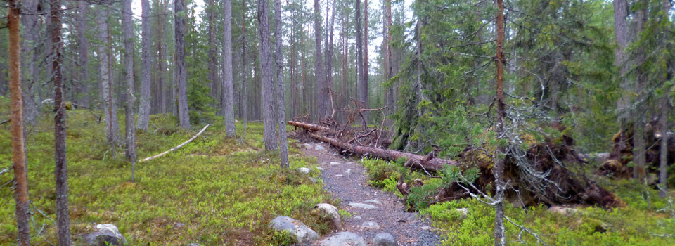 Canjoning Trail