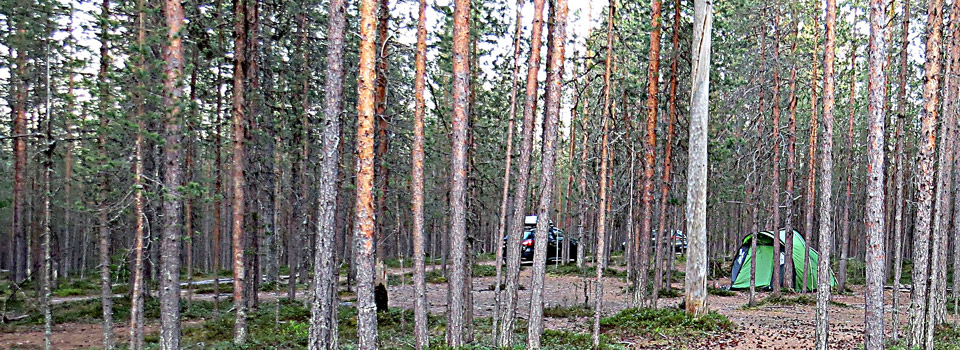 Zeltplatz im Oulanka Nationalpark